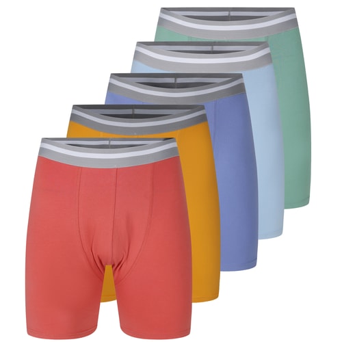 Bigdude 5 Pack Pastel Boxer Shorts Multi